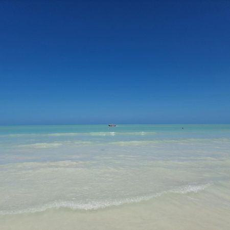 Luna Y Sol Glamping Holbox Εξωτερικό φωτογραφία